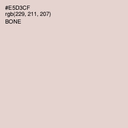 #E5D3CF - Bone Color Image