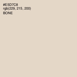 #E5D7C8 - Bone Color Image