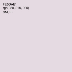 #E5DAE1 - Snuff Color Image
