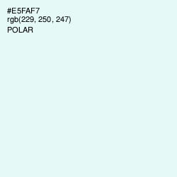 #E5FAF7 - Polar Color Image
