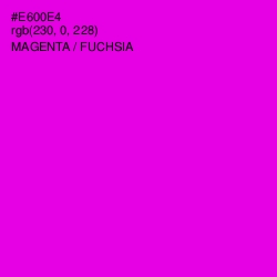 #E600E4 - Magenta / Fuchsia Color Image