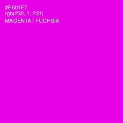 #E601E7 - Magenta / Fuchsia Color Image