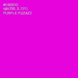 #E603DD - Purple Pizzazz Color Image