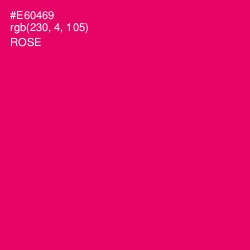 #E60469 - Rose Color Image
