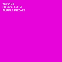 #E604DB - Purple Pizzazz Color Image