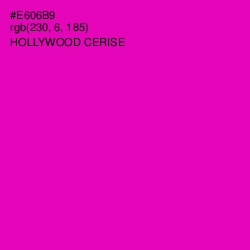 #E606B9 - Hollywood Cerise Color Image