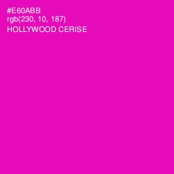 #E60ABB - Hollywood Cerise Color Image