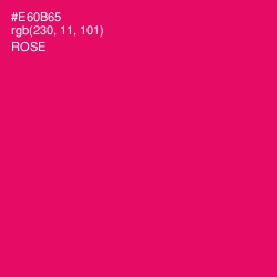 #E60B65 - Rose Color Image