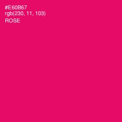 #E60B67 - Rose Color Image