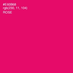 #E60B68 - Rose Color Image