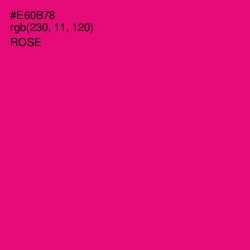 #E60B78 - Rose Color Image