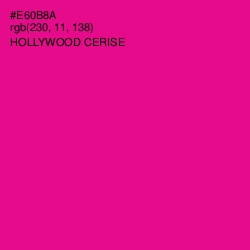 #E60B8A - Hollywood Cerise Color Image