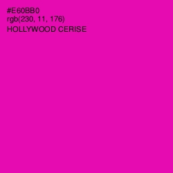 #E60BB0 - Hollywood Cerise Color Image