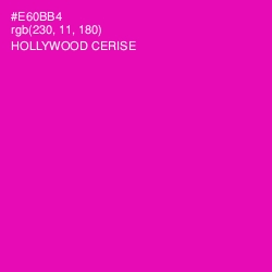 #E60BB4 - Hollywood Cerise Color Image