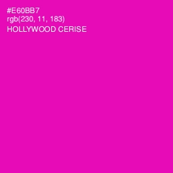 #E60BB7 - Hollywood Cerise Color Image