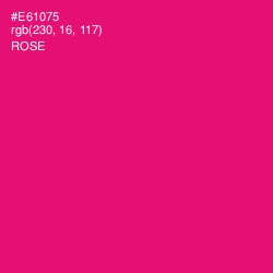 #E61075 - Rose Color Image