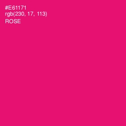 #E61171 - Rose Color Image