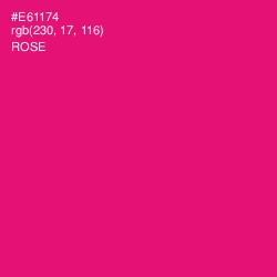 #E61174 - Rose Color Image