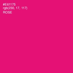 #E61175 - Rose Color Image