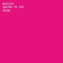 #E6127C - Rose Color Image