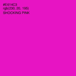 #E614C3 - Shocking Pink Color Image