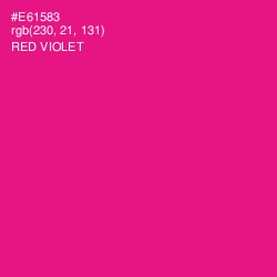 #E61583 - Red Violet Color Image