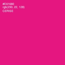 #E61680 - Cerise Color Image