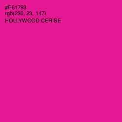 #E61793 - Hollywood Cerise Color Image