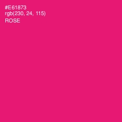 #E61873 - Rose Color Image