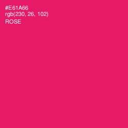 #E61A66 - Rose Color Image