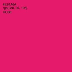 #E61A6A - Rose Color Image