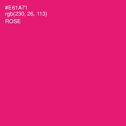 #E61A71 - Rose Color Image