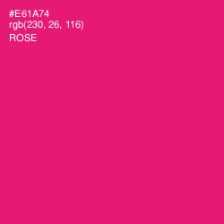 #E61A74 - Rose Color Image