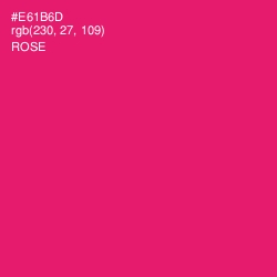 #E61B6D - Rose Color Image