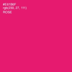 #E61B6F - Rose Color Image