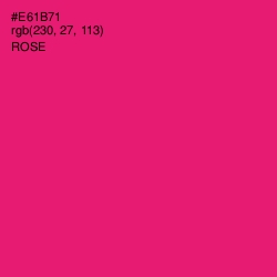 #E61B71 - Rose Color Image