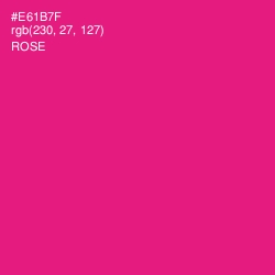 #E61B7F - Rose Color Image