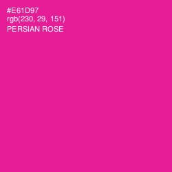 #E61D97 - Persian Rose Color Image