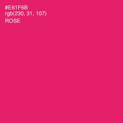 #E61F6B - Rose Color Image