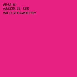 #E62181 - Wild Strawberry Color Image