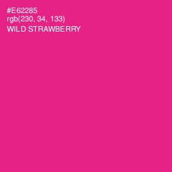 #E62285 - Wild Strawberry Color Image