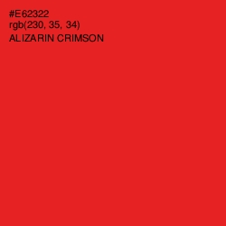 #E62322 - Alizarin Crimson Color Image