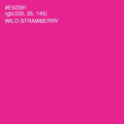 #E62391 - Wild Strawberry Color Image