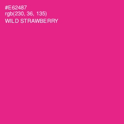 #E62487 - Wild Strawberry Color Image