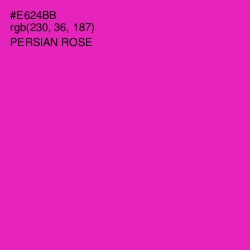 #E624BB - Persian Rose Color Image