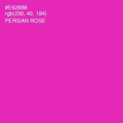 #E628B8 - Persian Rose Color Image