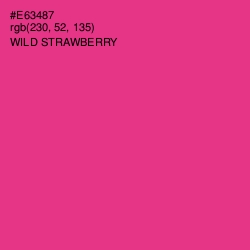 #E63487 - Wild Strawberry Color Image