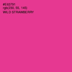 #E63791 - Wild Strawberry Color Image