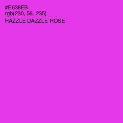 #E638EB - Razzle Dazzle Rose Color Image