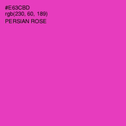 #E63CBD - Persian Rose Color Image